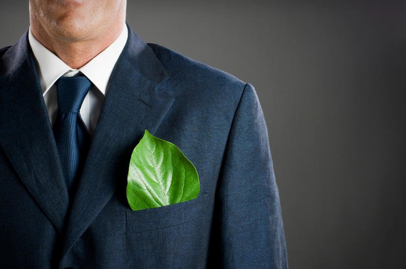 Green Business Execs Reveal Their Greatest Ambitions for 2017