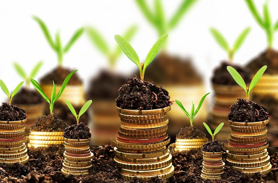 New Investment Model To Restore Nature