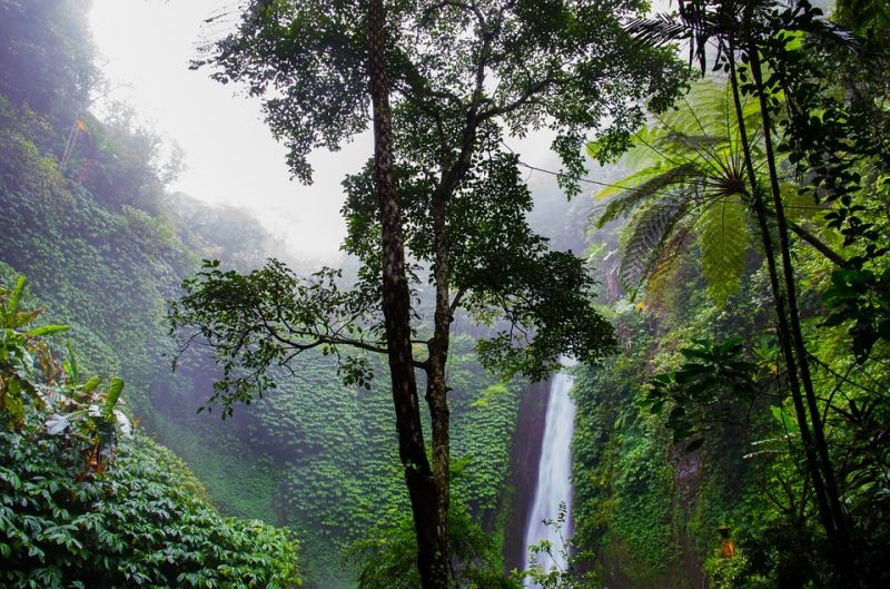 waterfall-384663_960_720.jpg