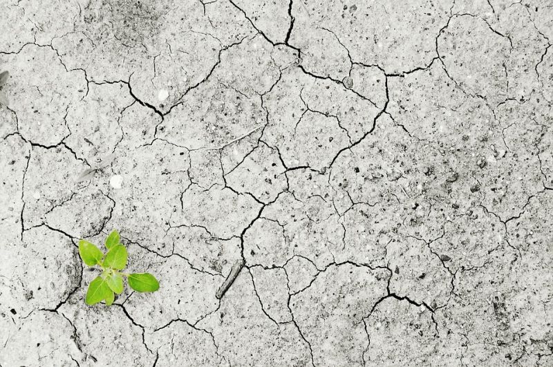climate-change-1325882_960_720.jpg