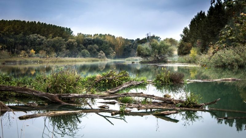 river.jpg