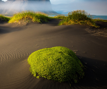 TED Talk - How to Green the World's Deserts