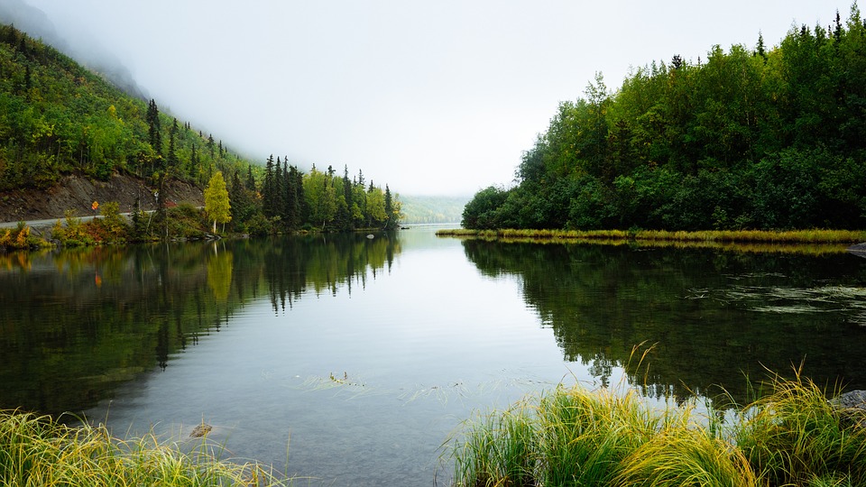 Calcium Levels in Freshwater Lakes Around the World Harmful to Some Species
