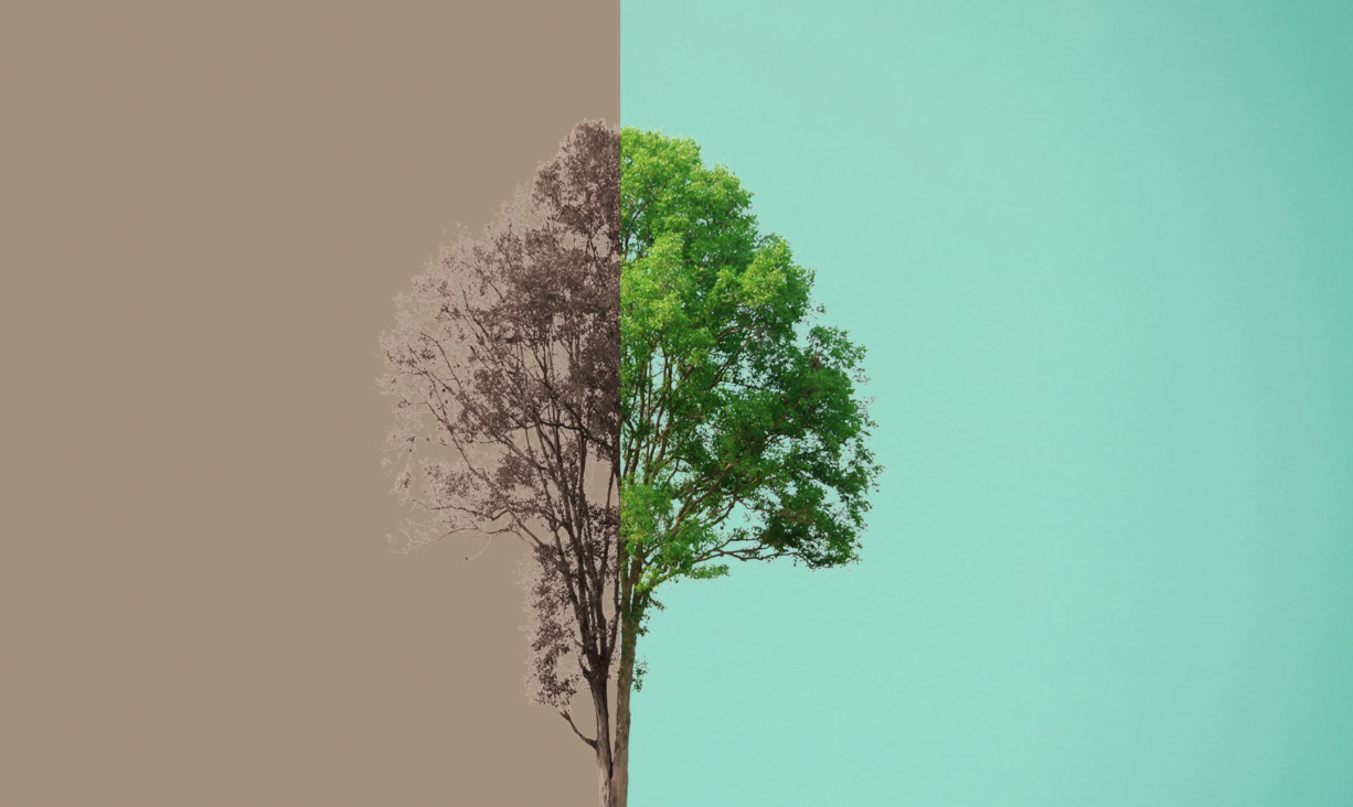Climate change has many signals&mdash;rising sea levels, melting glaciers, stronger storms&mdash;but the first and most immediate sign for most people o...