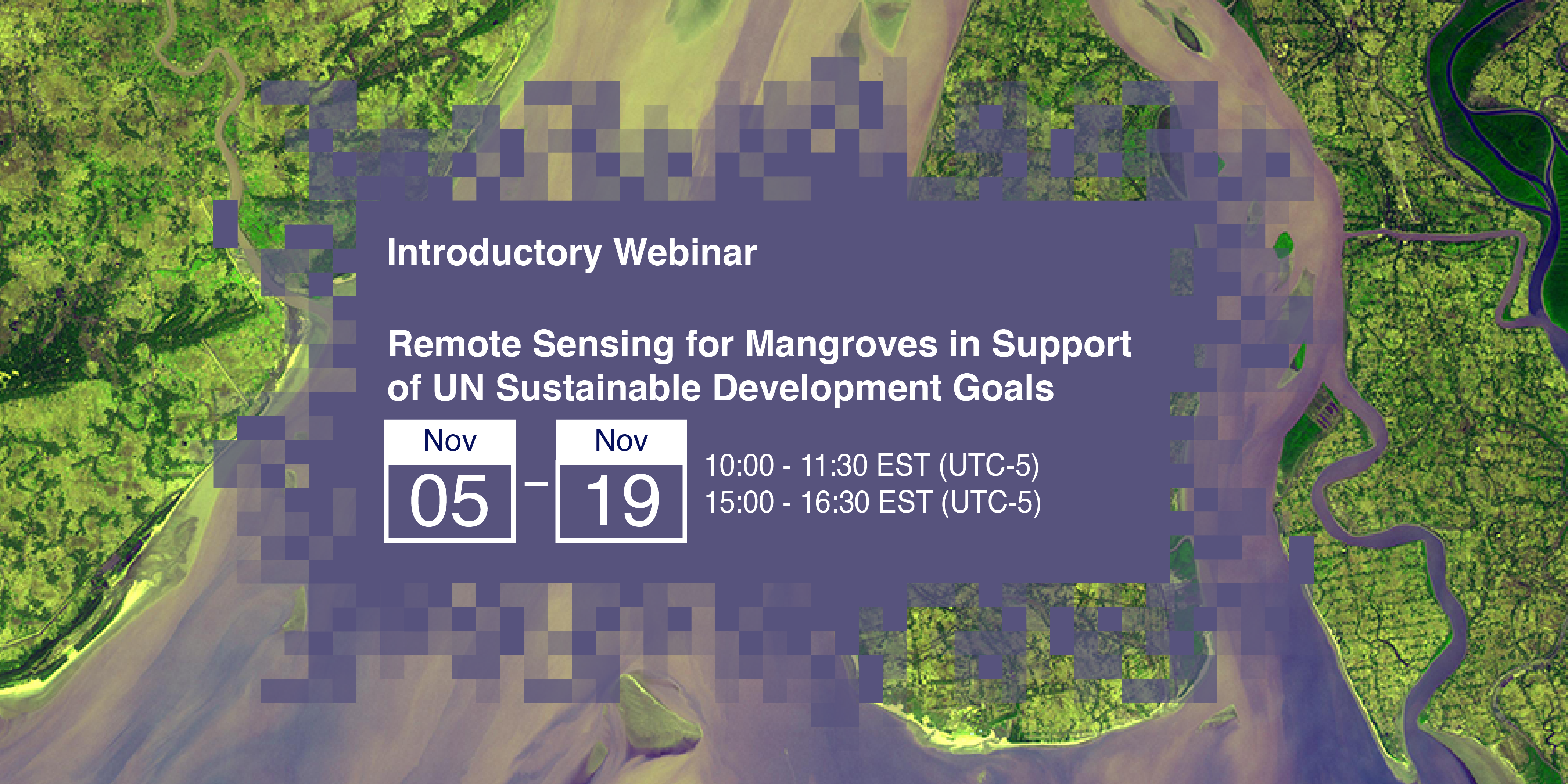 Remote Sensing for Mangroves in Support of the UN Sustainable Development Goals