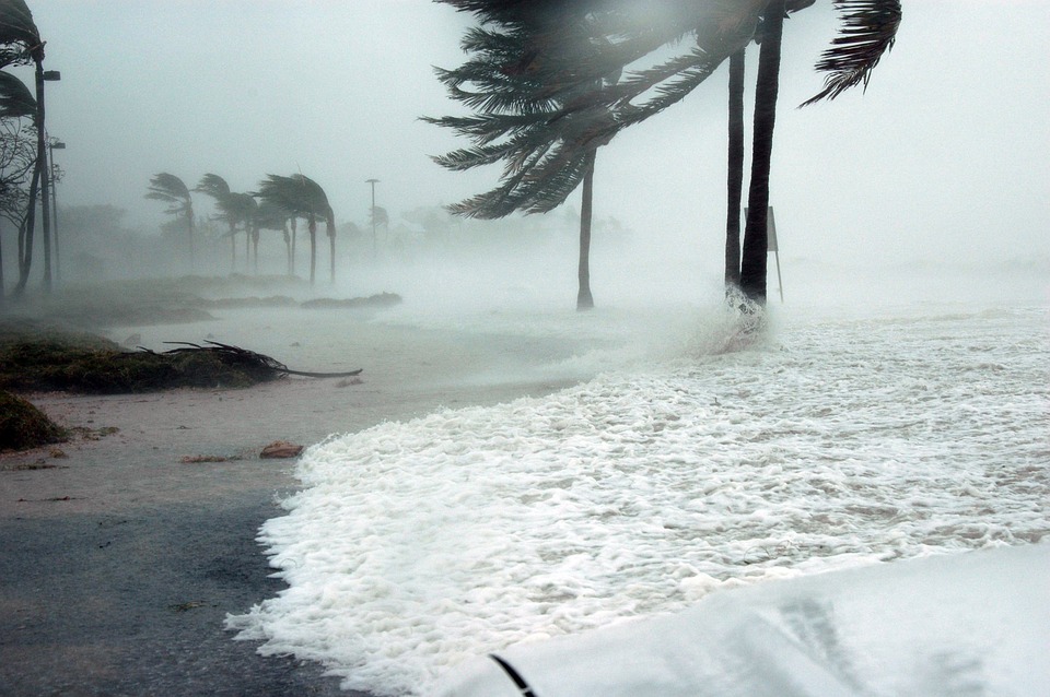 Hurricane Barry's Rain and Floods Hammer Gulf Environment