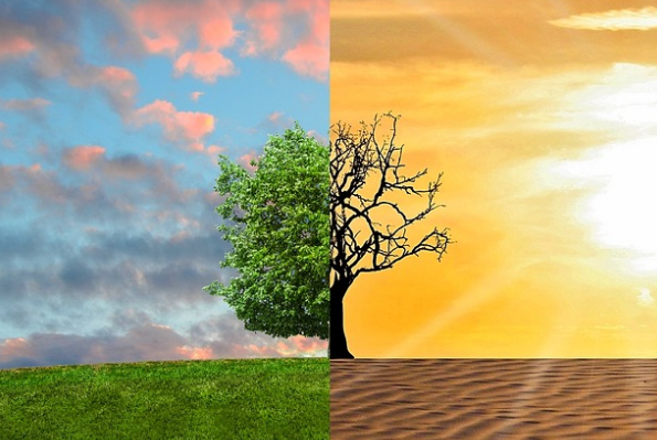 Projecting the Impacts of Climate Change