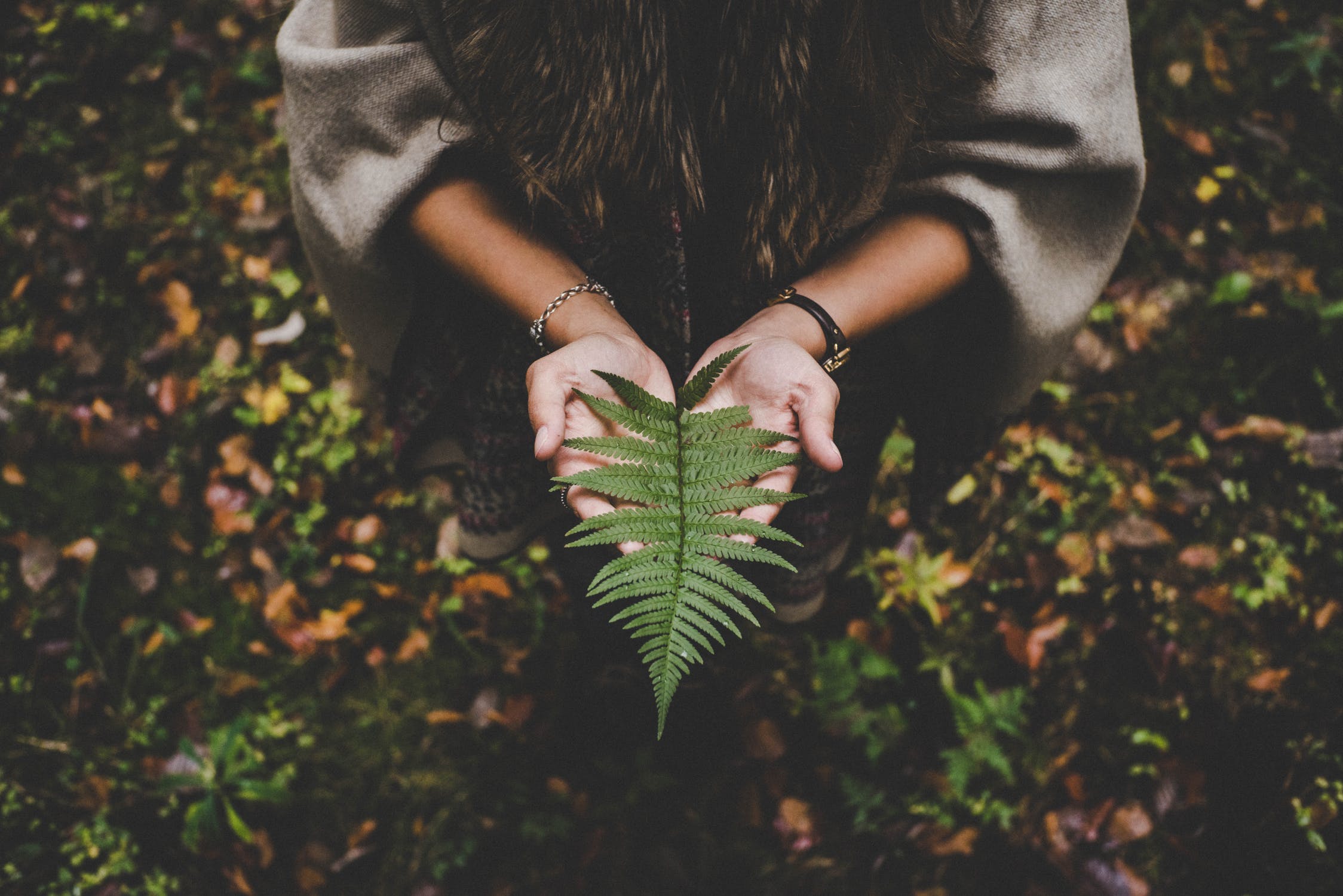 International Earth Day 2019: Protect Our Species