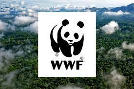 WWF&rsquo;s Living Planet Report reveals a devastating 69% drop in wildlife populations on average in less than a lifetimeMonitored wildlife populat...