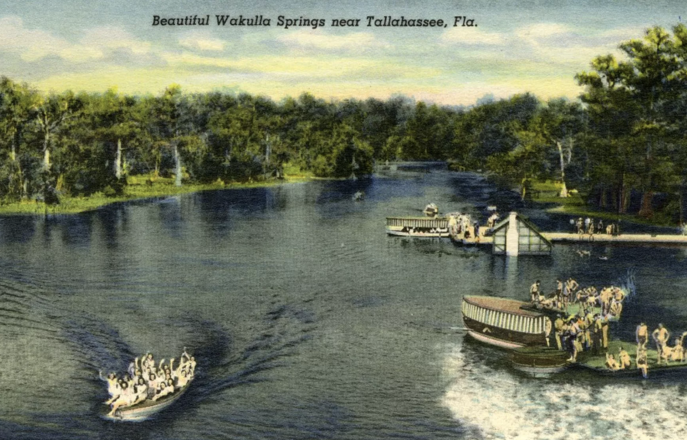 Wake up now: Dirty water has grounded Wakulla Springs' iconic glass bottom boats Human burdensWakulla Springs is fed by the Floridan Aquifer.As ...