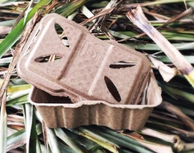 Turning Agricultural and Water Waste into Biodegradable Packaging