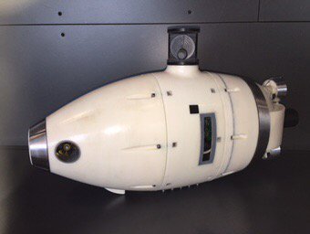 Underwater Robots Monitor Venice Lagoon ​