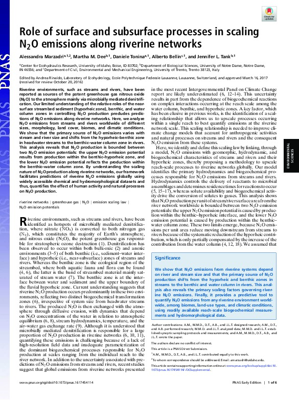 Role of surface and subsurface processes in scaling N2O emissions along riverine network