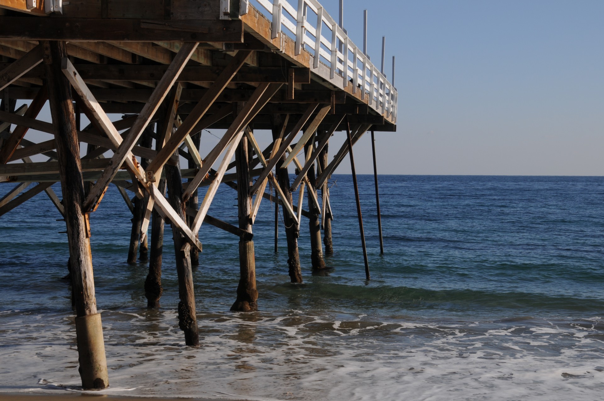 Restored Ocean Will Alleviate Poverty, Provide Jobs and Improve Health