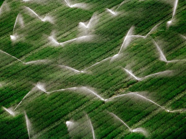 How Irrigation Development Modifies Local Climate