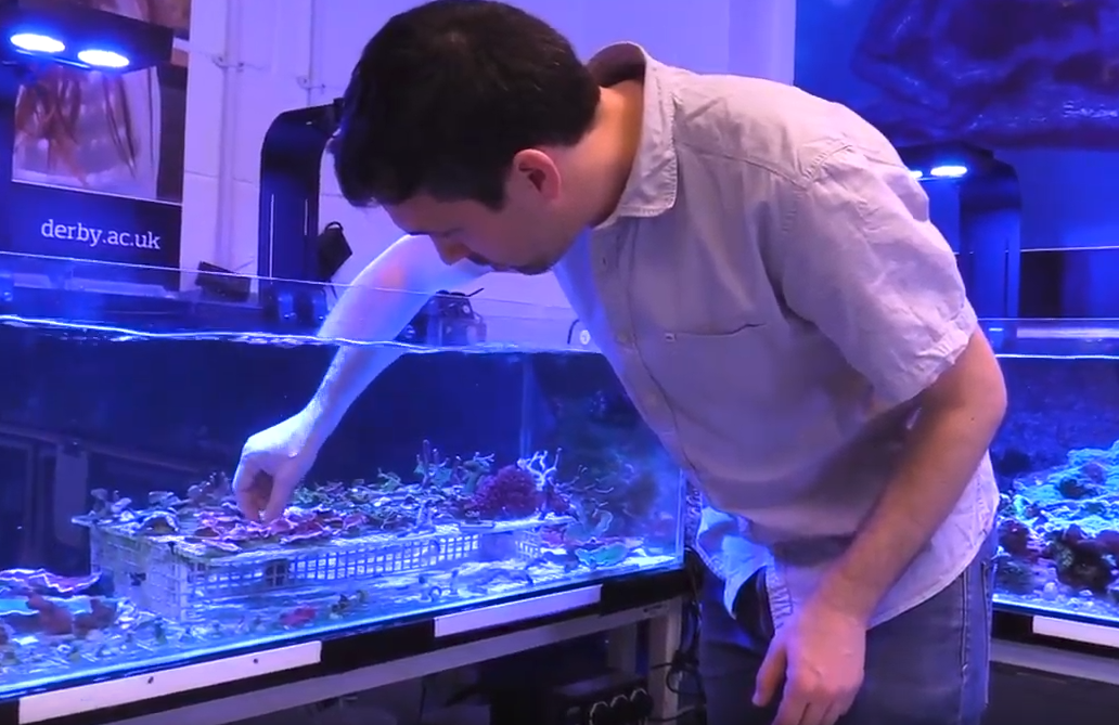 Coral Reef Research – Environmental Sustainability Research Centre (Video)