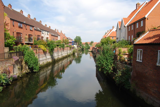 Pet Flea Treatment Chemicals Polluting Britain's Streams and Rivers