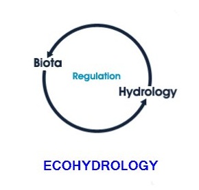Coastal Ecohydrology