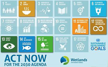 dws-wetlands-sgd-logos-350px.jpg