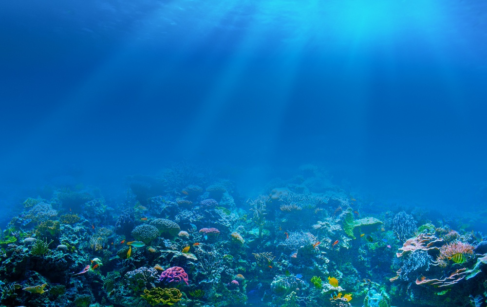 Ingenious Micromotors Scrub Carbon Dioxide from Ocean Waters