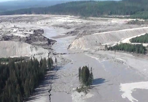 Analysis- Tailings Dam Safety