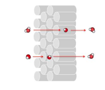 tH11bK66Sh_Mb26a94f5qQ.png