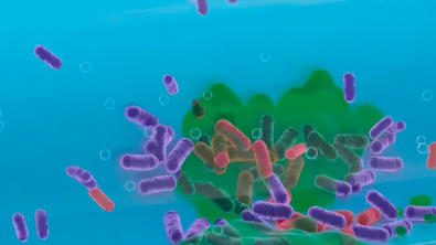 What is biofilm? (2 min video)