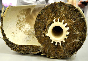 Fresh Look at Desalination Plants Uncovers Bacterial Blocks