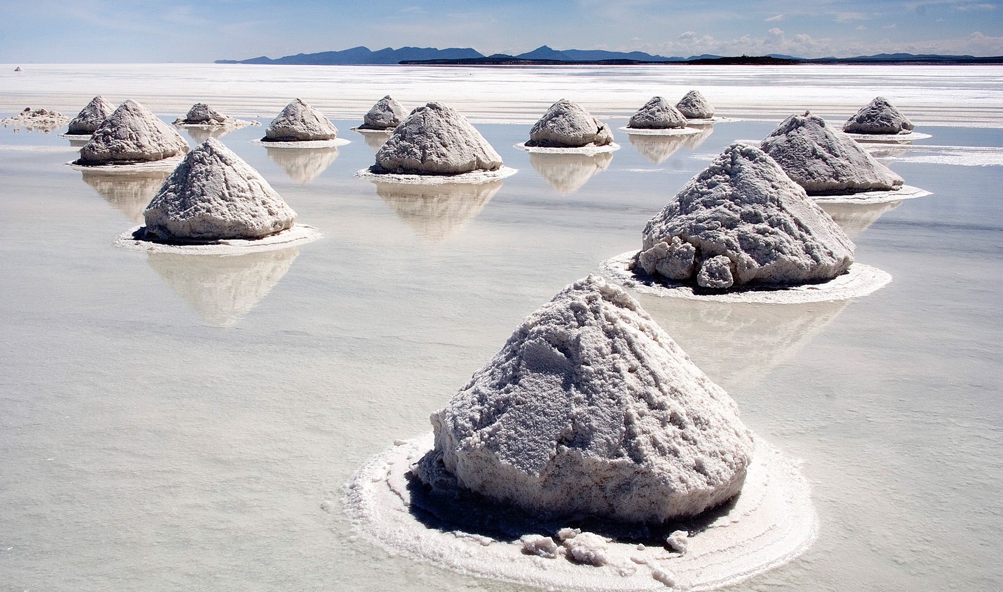 TEDx Talk - Desalination, Naturally