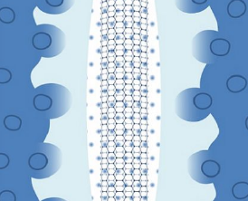Porous Carbon-​fiber ​Structures ​Grown on a ​Porous Ceramic ​Substrate