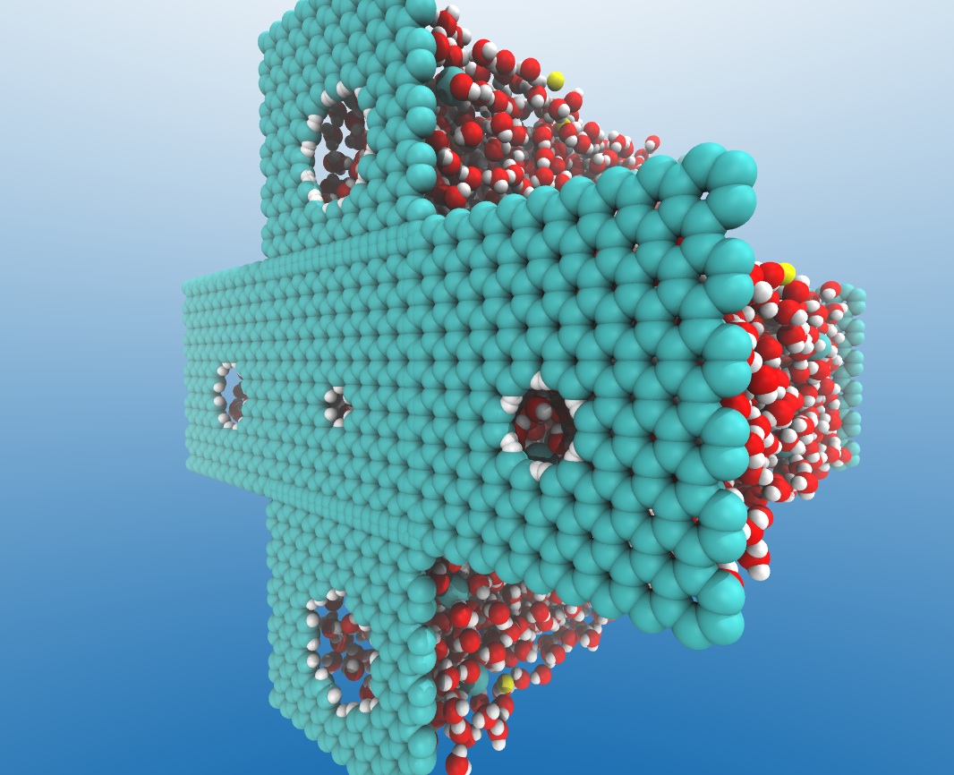 Nanopores Take the Salt Out
