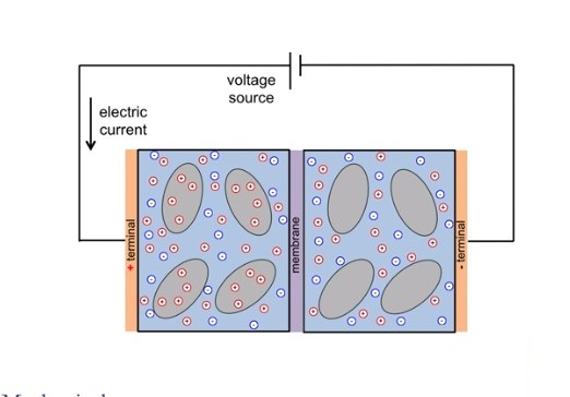 Sodium Ion Desalination