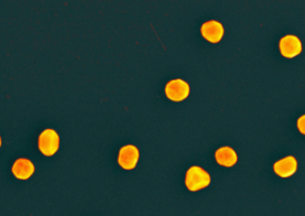 Nanoparticle-templated Nanofiltration Membranes for Ultrahigh Performance Desalination