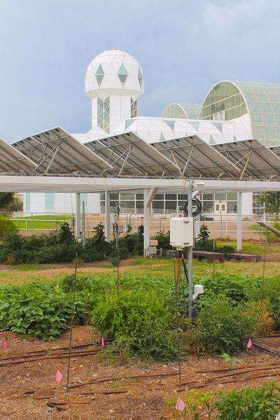 biosphere.jpg