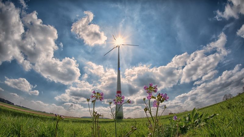 pinwheel-2222471_960_720.jpg