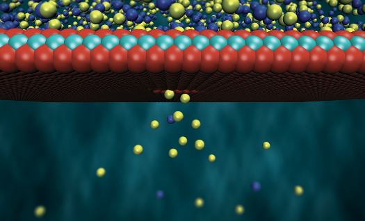 A Generator Draws Energy From Saltwater