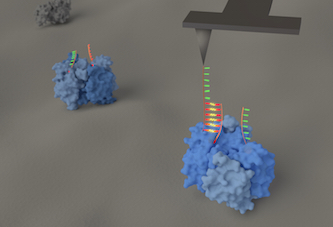 Renewable Energy from Evaporating Water