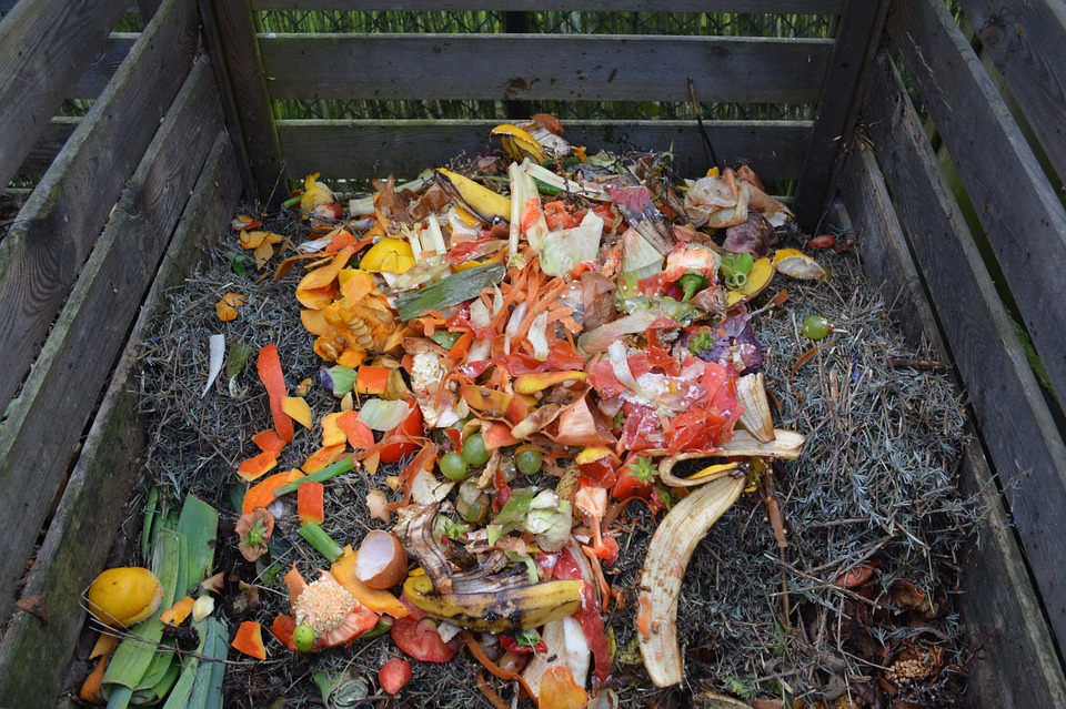 Flint Will Turn Food Waste into Energy at Water Pollution Plant