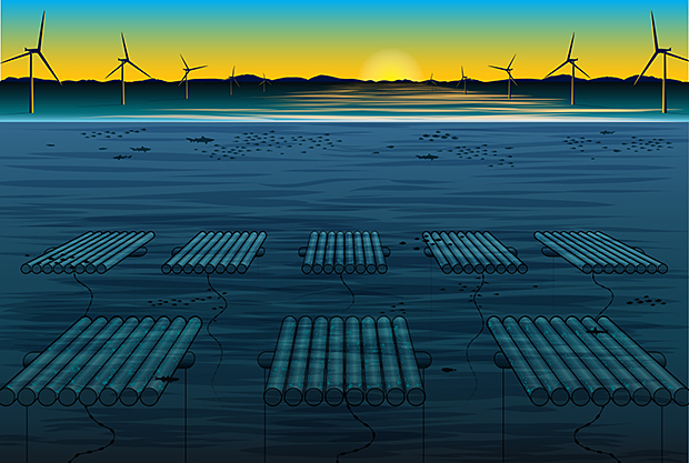 Microsoft Plans to Submerge Its Data Centers