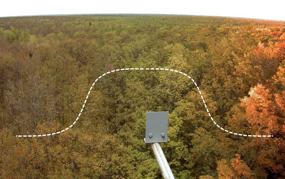 PhenoCam Network Harnesses ‘Big Data’ to Predict Impact of Warmer Climate