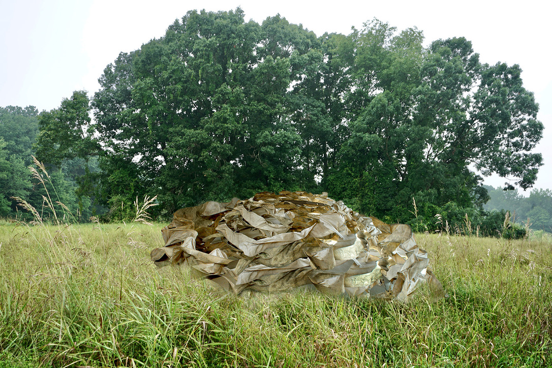 Rosalyn Driscoll, Independent artist at Rosalyn Driscoll
