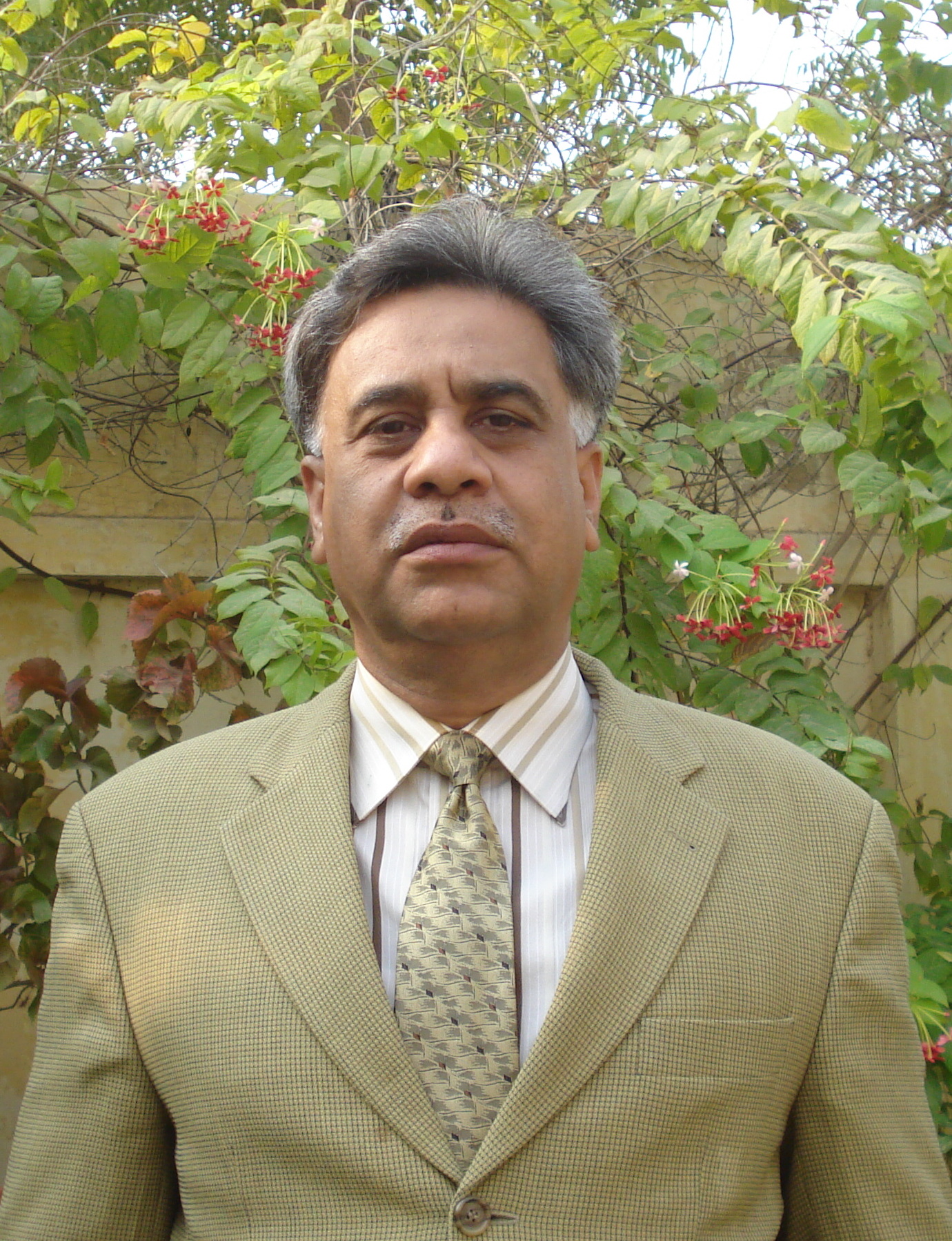 Saeed Bablani, University of Sindh - Professor