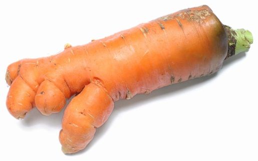 sfe_zw_ugly_carrot_750x375px.jpg