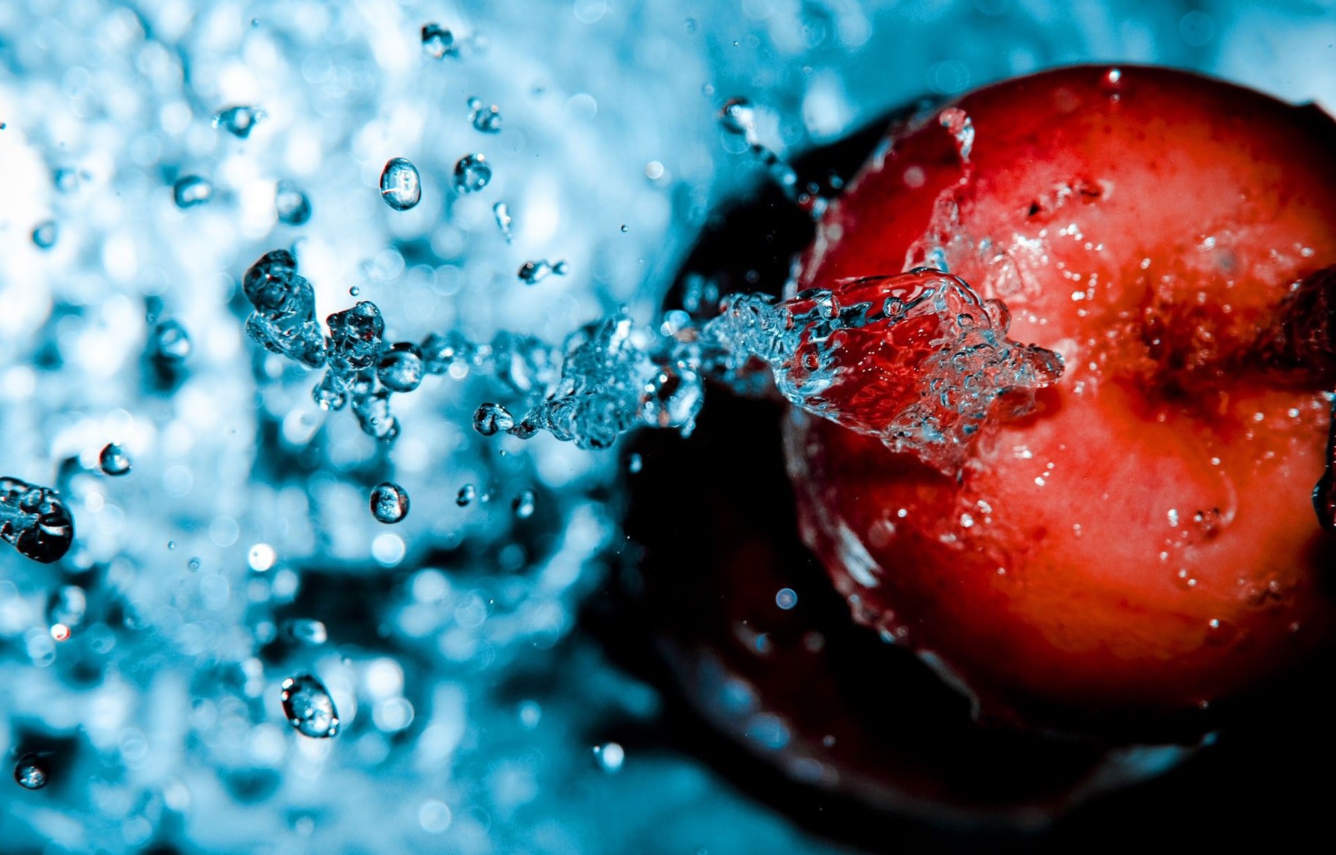 Hunger in a Complex World