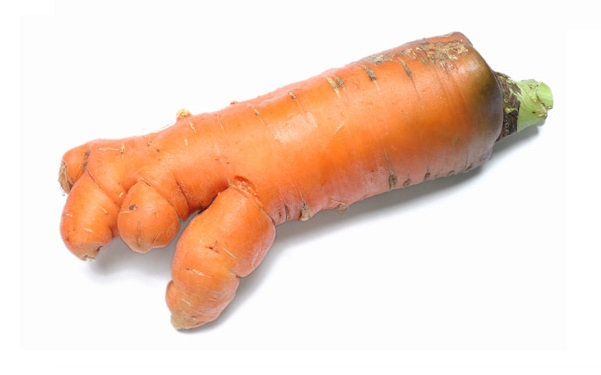 That crooked carrot is also food