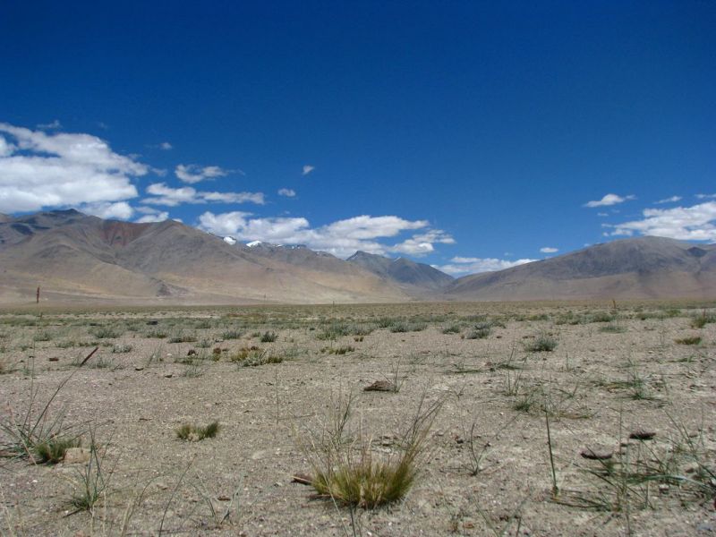 Pumped Dry: India’s Accelerating and Invisible Groundwater Crisis