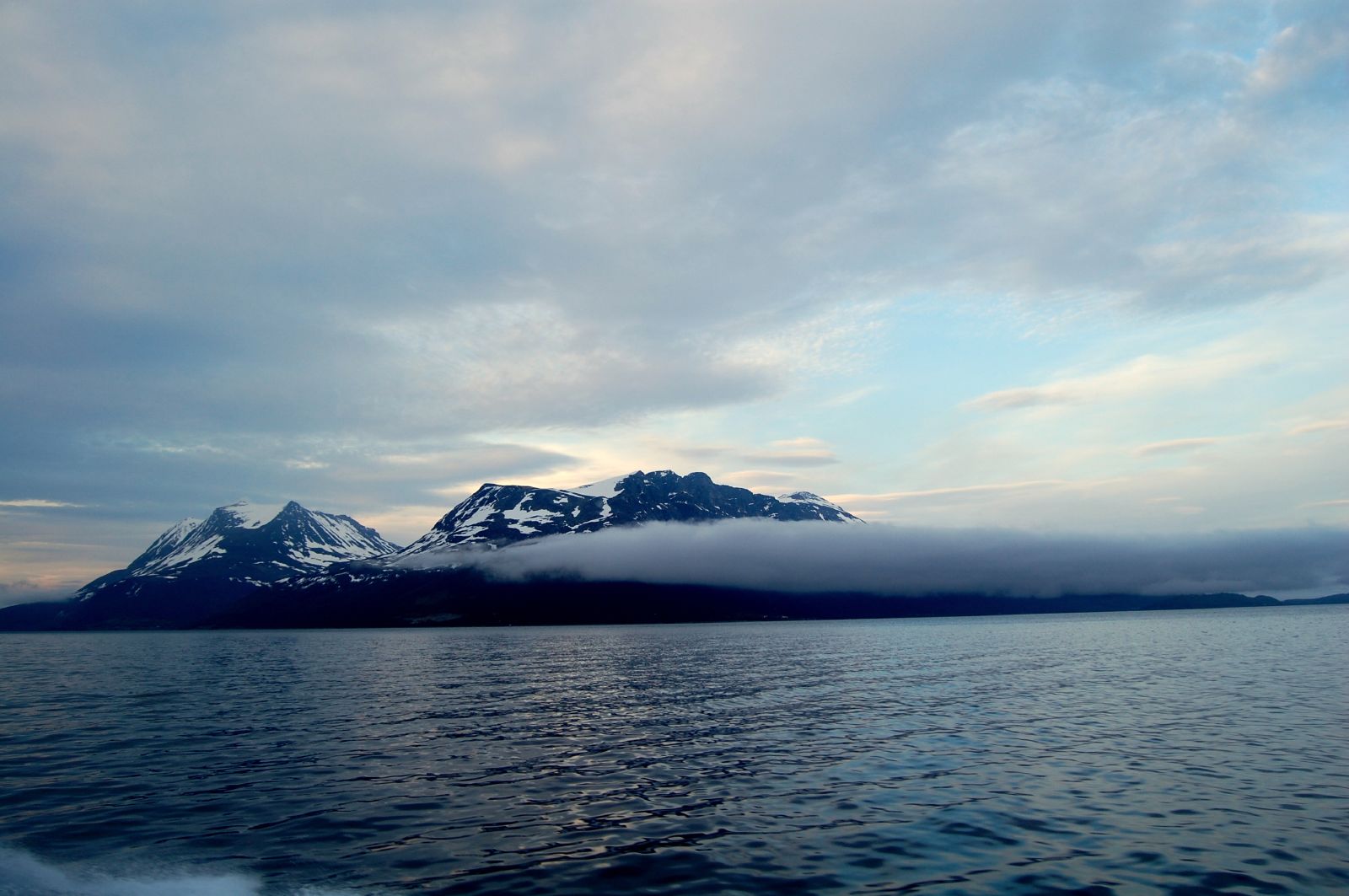 Less Ice, More Water in Arctic Ocean by 2050s