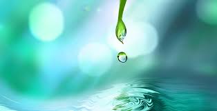Water, Environment and Development