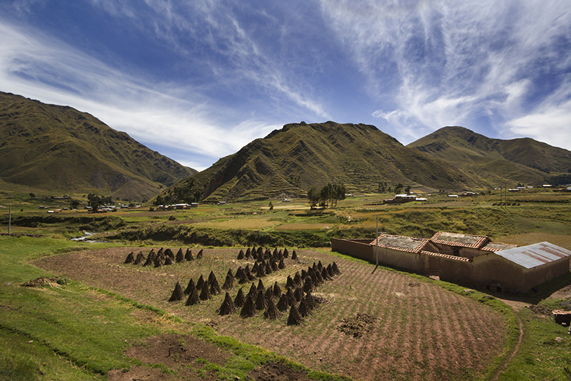 Plant In Peru Treats Agro-industrial Waste