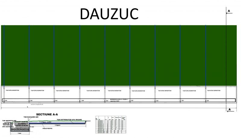 DAUZUC GENERAL ROMANA.jpg